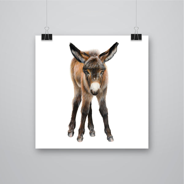 'Almond' Donkey Giclee Print - Harebell Designs