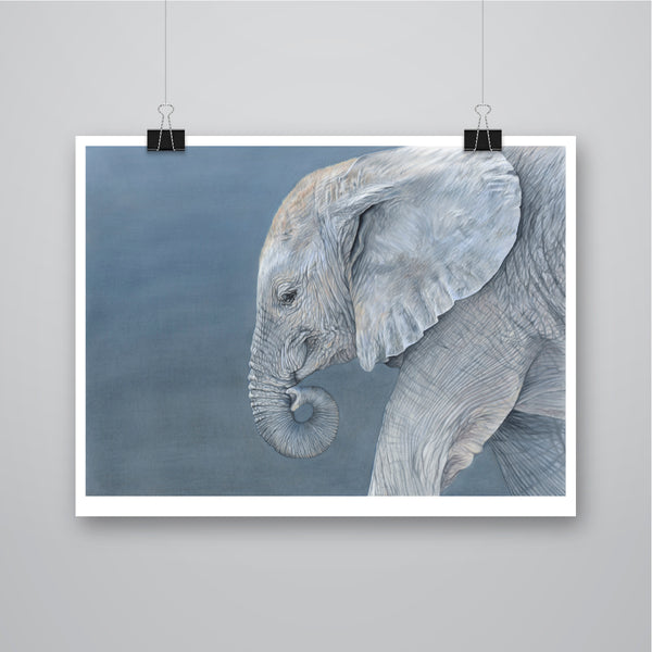 'Amendola' - Harebell Designs