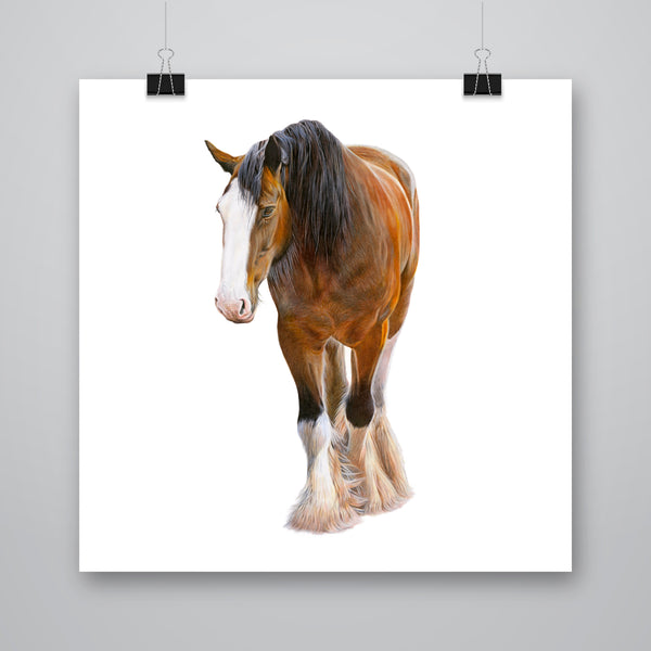 'Angus' Clydesdale Horse Giclee Print - Harebell Designs