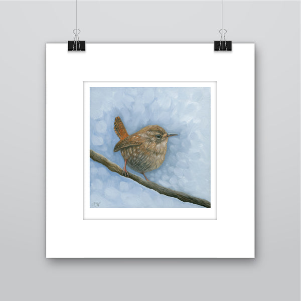 Blue Wren