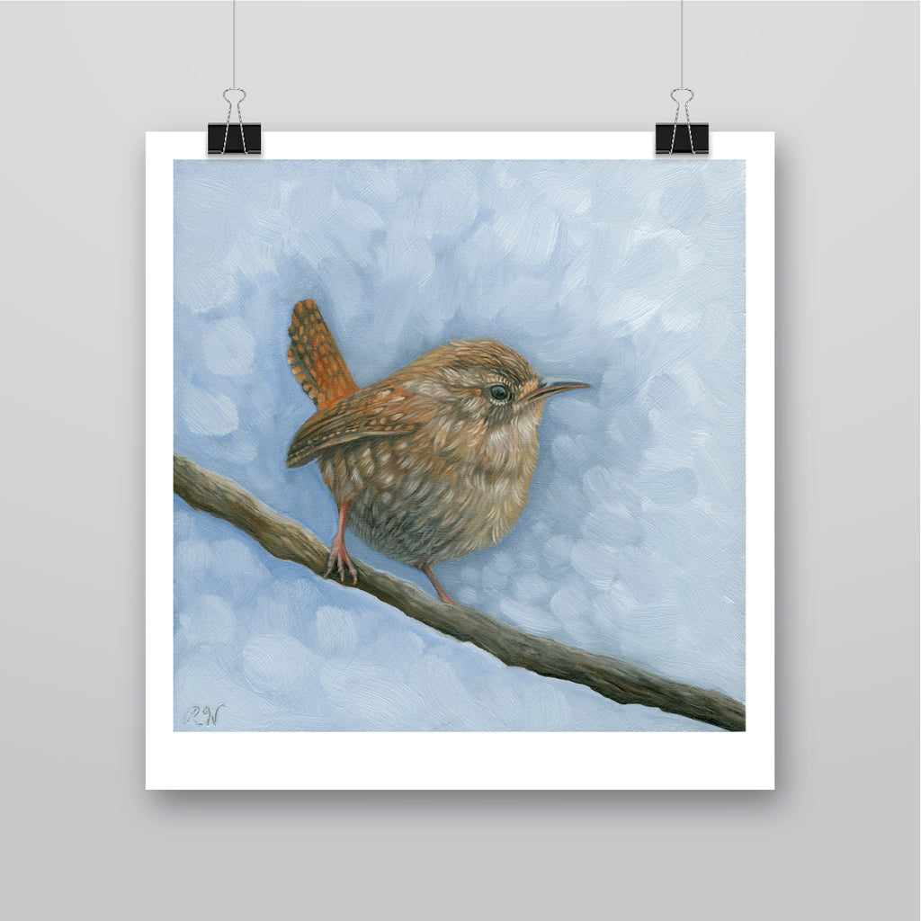 Blue Wren