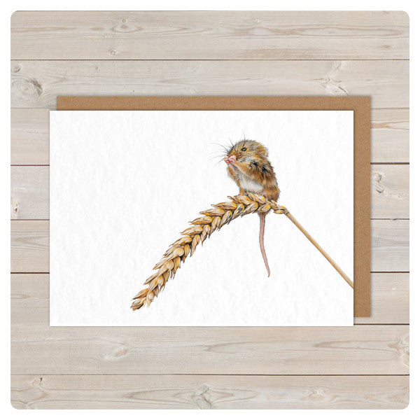 'Bosco' Notecards - Harebell Designs