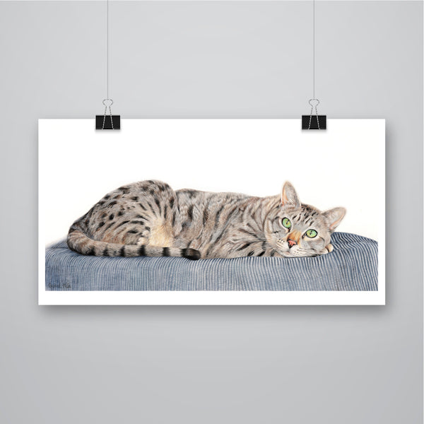 'Charlie' Cat Print - Harebell Designs