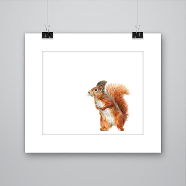 'Little Red' Red Squirrel - Harebell Designs