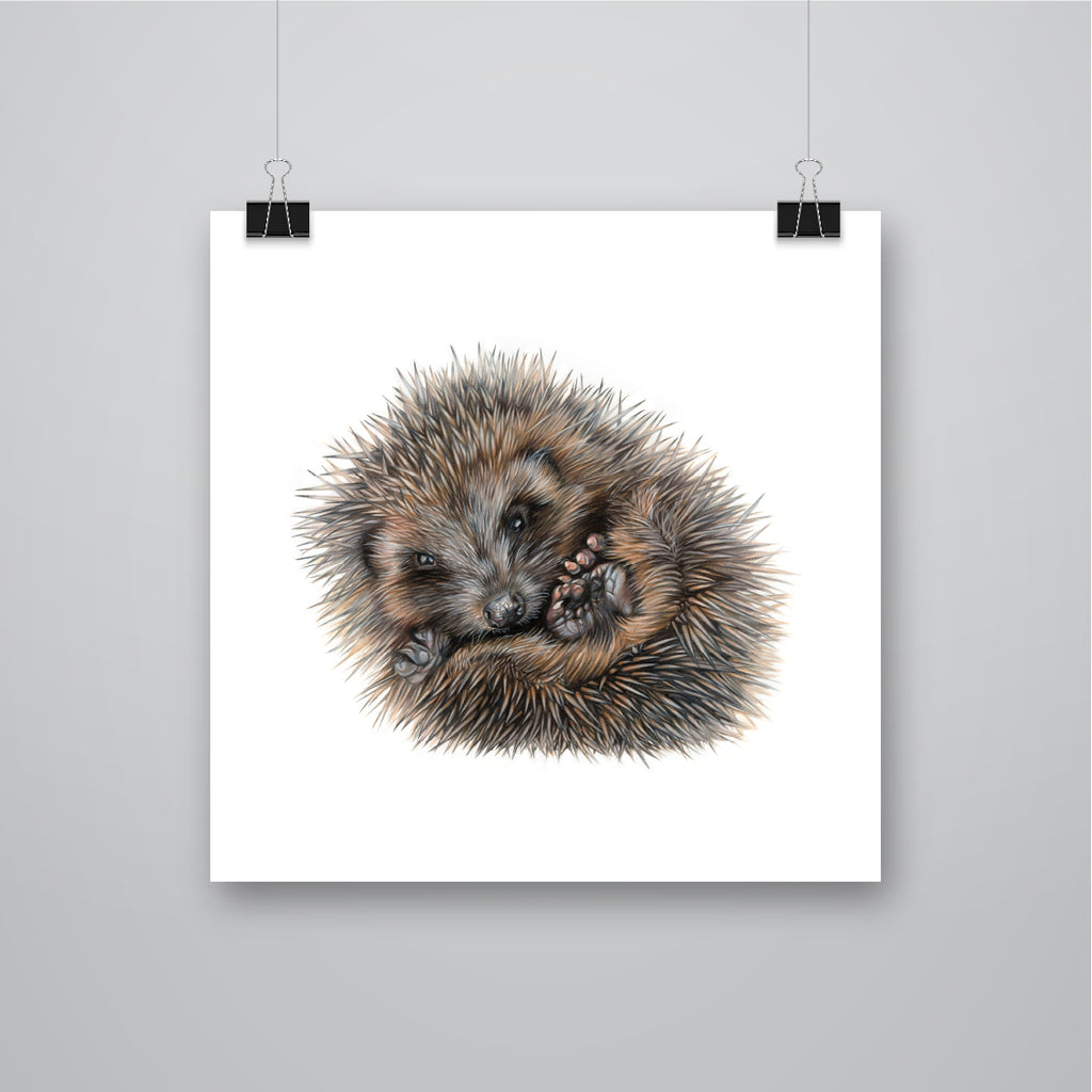 'Prickle' Hedgehog Giclee Print - Harebell Designs