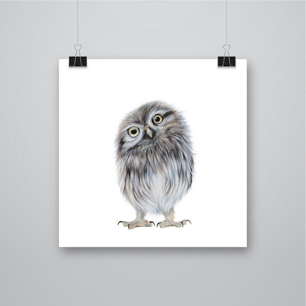 'Twit' Little Owl Giclee Print - Harebell Designs