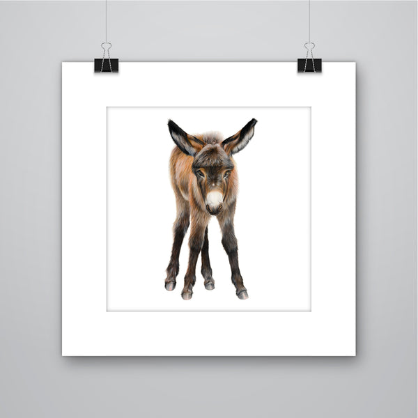 'Almond' Donkey Giclee Print - Harebell Designs