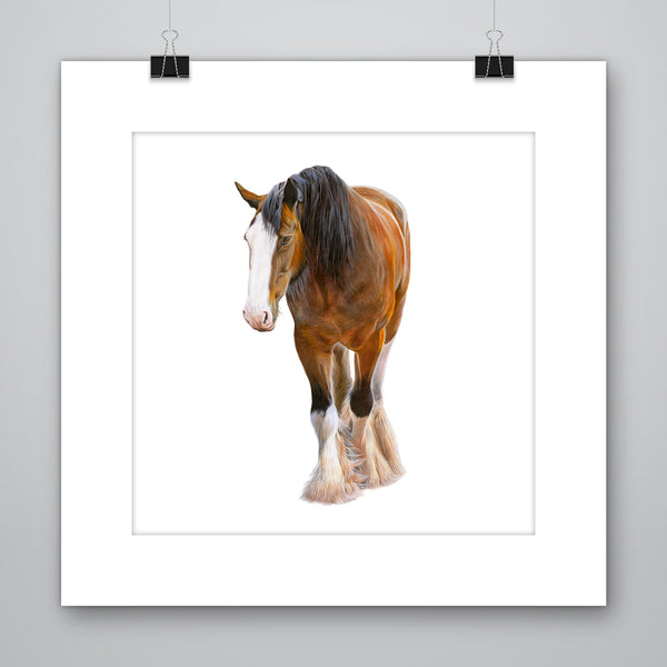 'Angus' Clydesdale Horse Giclee Print - Harebell Designs
