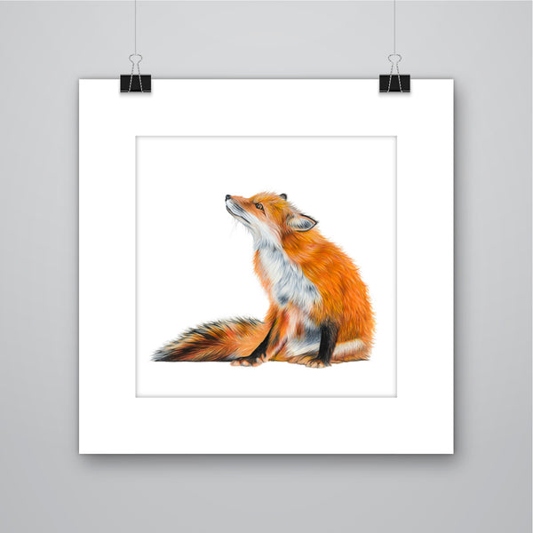 'Basil' Red Fox Giclee Print - Harebell Designs