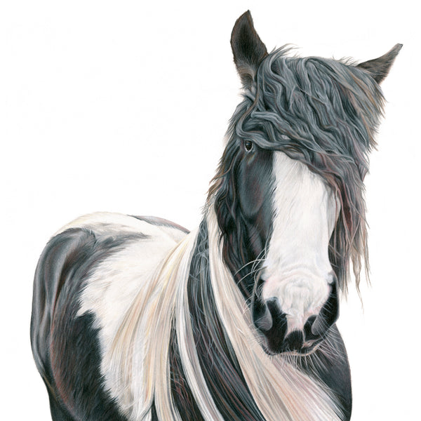'Beau' - Harebell Designs