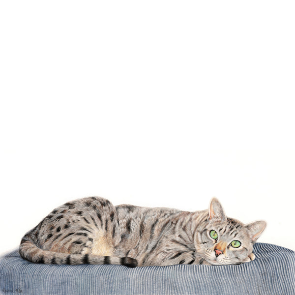 'Charlie' Cat Print - Harebell Designs
