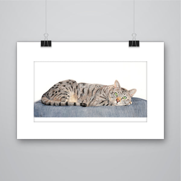 'Charlie' Cat Print - Harebell Designs