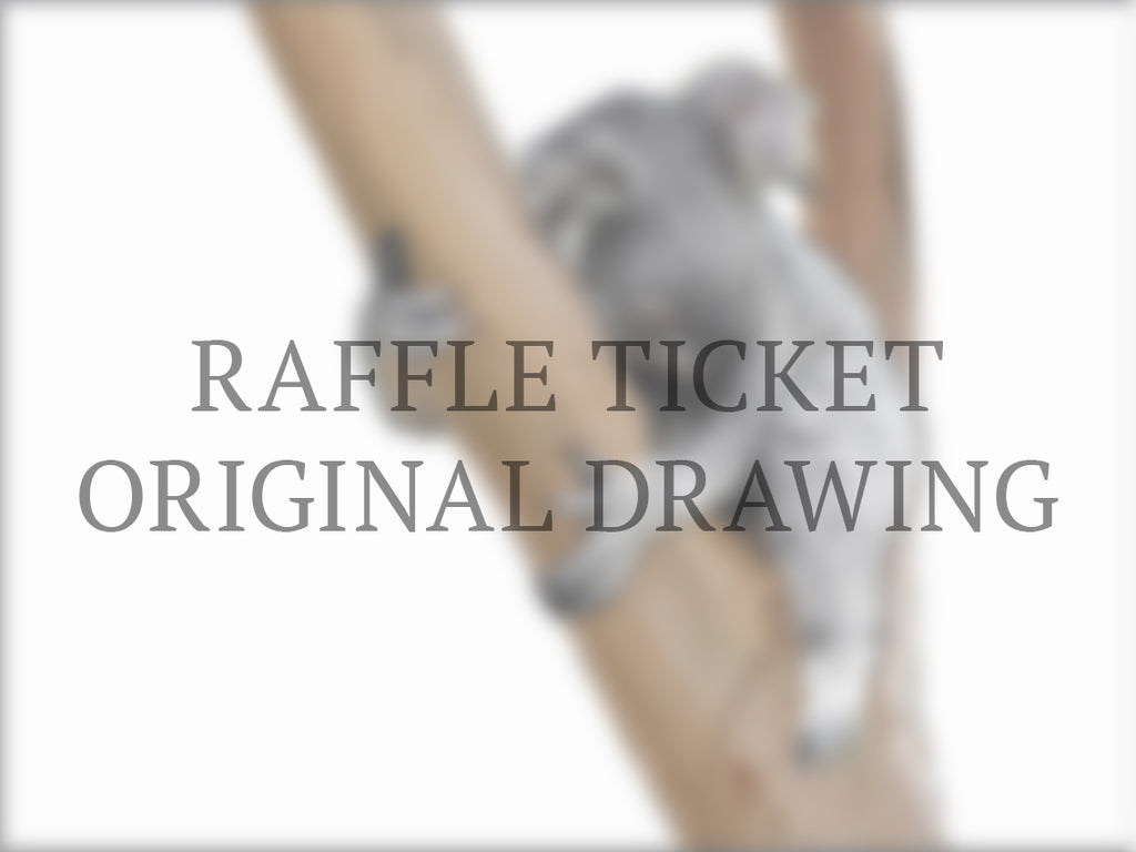 Raffle Ticket 'Sleepy One' Koala | Original Drawing - Harebell Designs