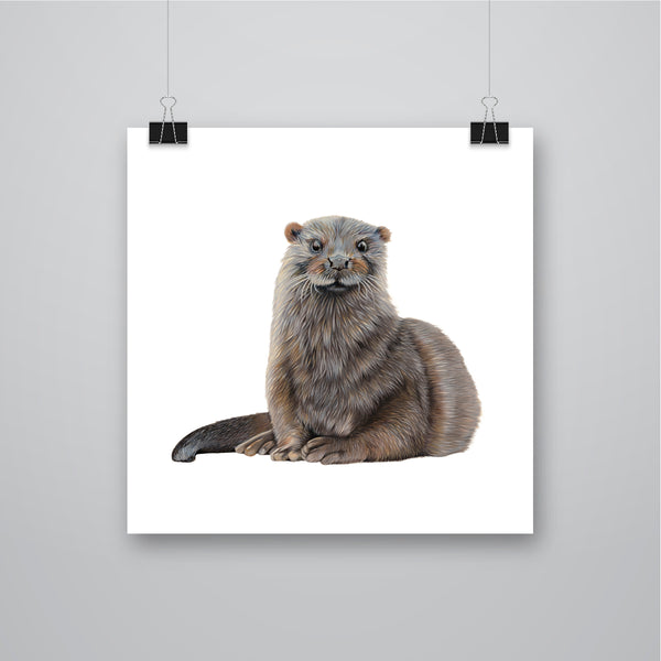 'Fisher' Otter Giclee Print - Harebell Designs