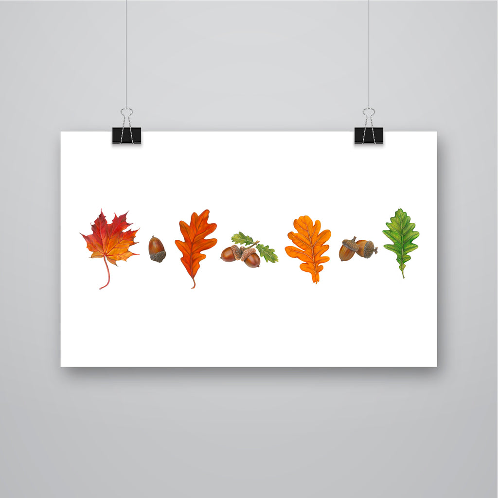 'Green & Gold' Acorns & Oak Leaves Giclee Print - Harebell Designs