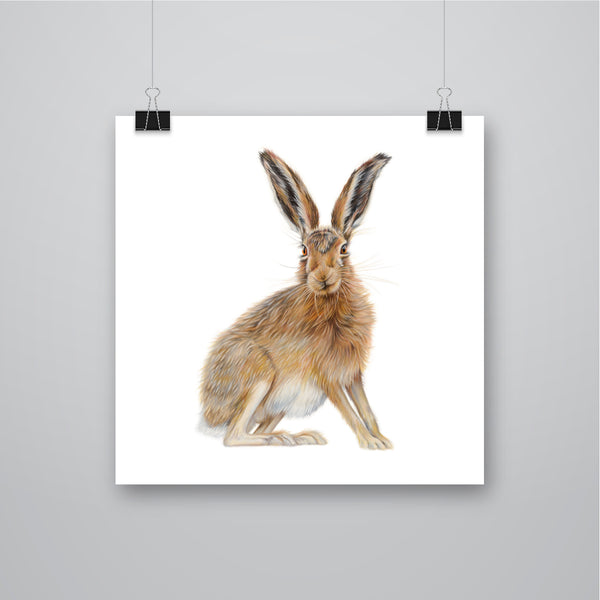 'Harebell' Hare Giclee Print - Harebell Designs