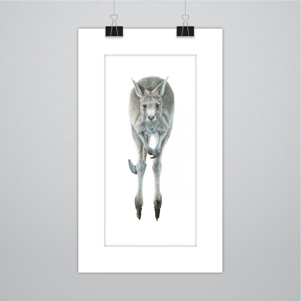 'Hop to it' Kangaroo Limited Edition Print - Harebell Designs