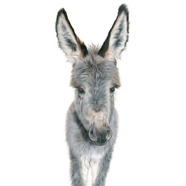 'I'm all Ears' - Harebell Designs