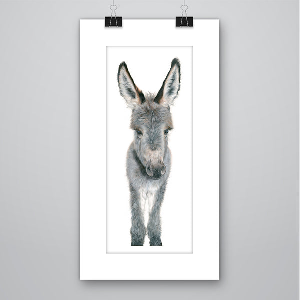 'I'm all Ears' - Harebell Designs