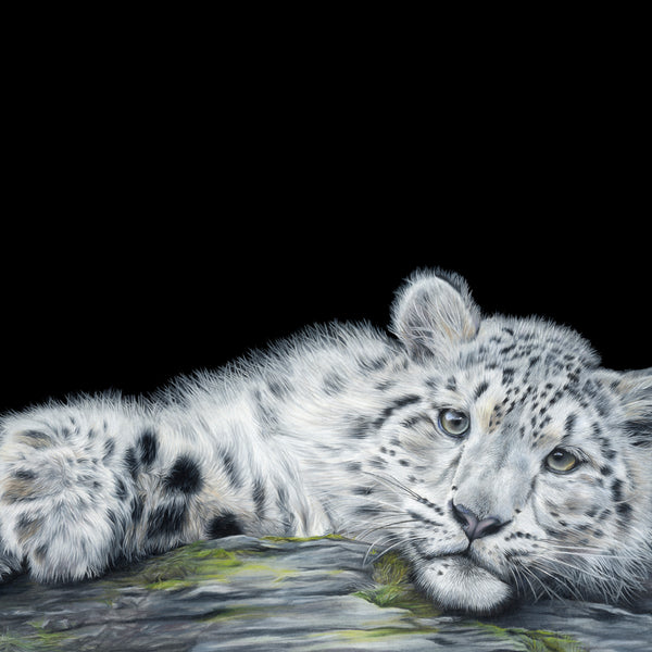 'King of the Mountain' - Harebell Designs