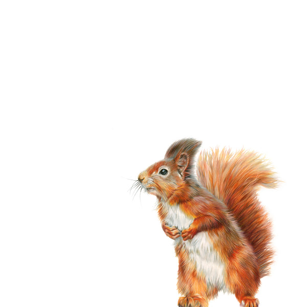 'Little Red' Red Squirrel - Harebell Designs