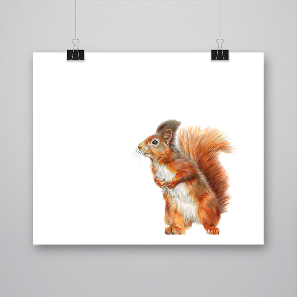 'Little Red' Red Squirrel - Harebell Designs