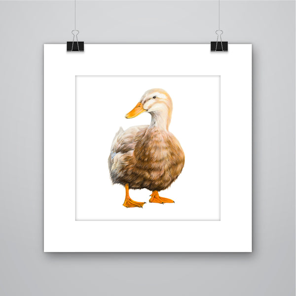 'Rosie' Saxony Duck Giclee Print - Harebell Designs