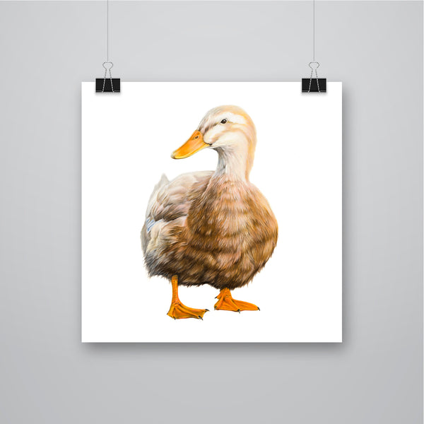 'Rosie' Saxony Duck Giclee Print - Harebell Designs