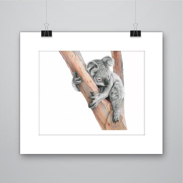 'Sleepy One' Koala Limited Edition Print - Harebell Designs