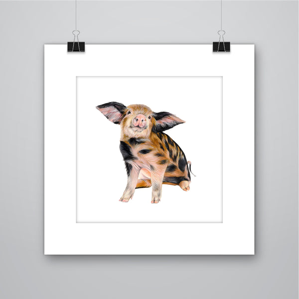 'Truffles' Piglet Giclee Print - Harebell Designs