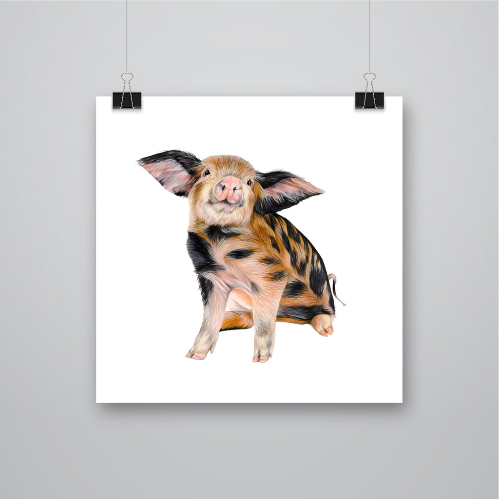 'Truffles' Piglet Giclee Print - Harebell Designs