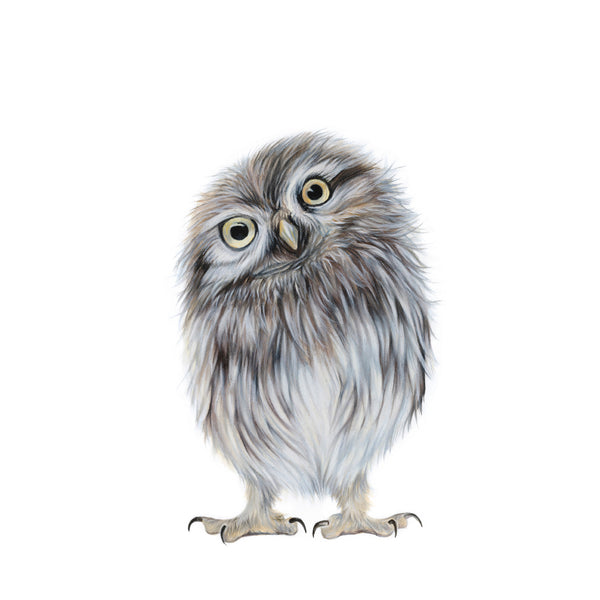 'Twit' Little Owl Giclee Print - Harebell Designs