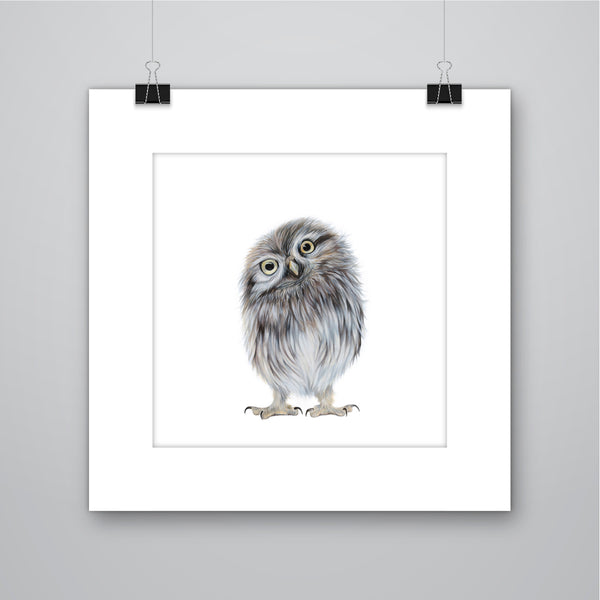 'Twit' Little Owl Giclee Print - Harebell Designs