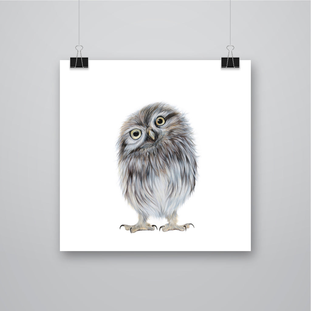 'Twit' Little Owl Giclee Print - Harebell Designs